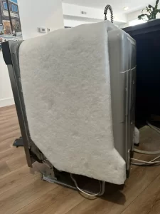 Dishwasher service in Ottawa