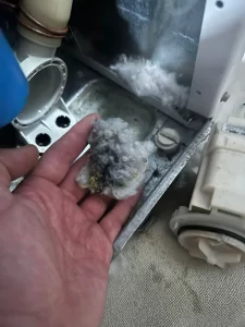 Dryer Lint Cleaning Ottawa