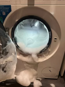 Washer Door Boot Cleaning Ottawa